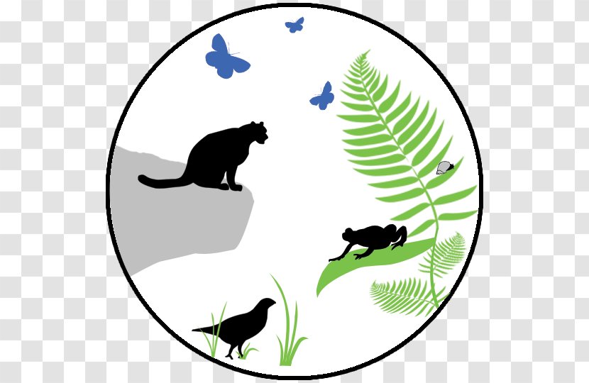Cat Wildlife Clip Art - Small To Medium Sized Cats - Transparent Adaptability Icon Transparent PNG