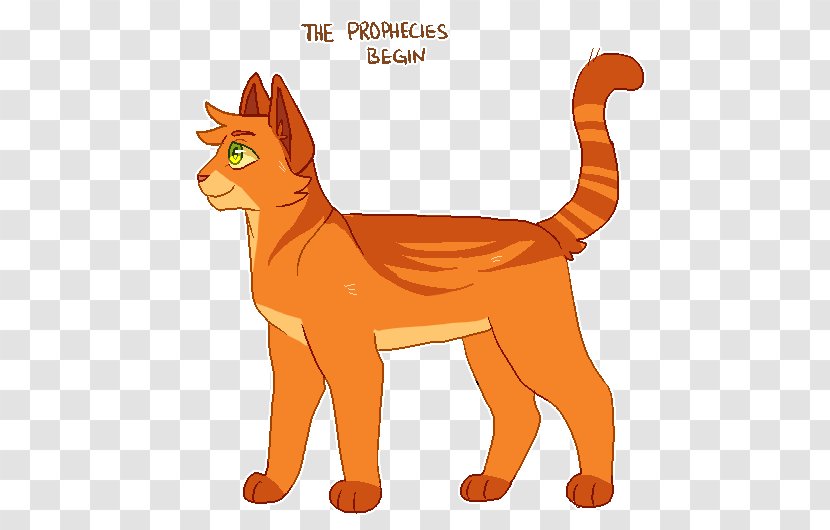 Whiskers Cat Warriors Kitten Squirrelflight - Carnivoran - The New Prophecy Transparent PNG