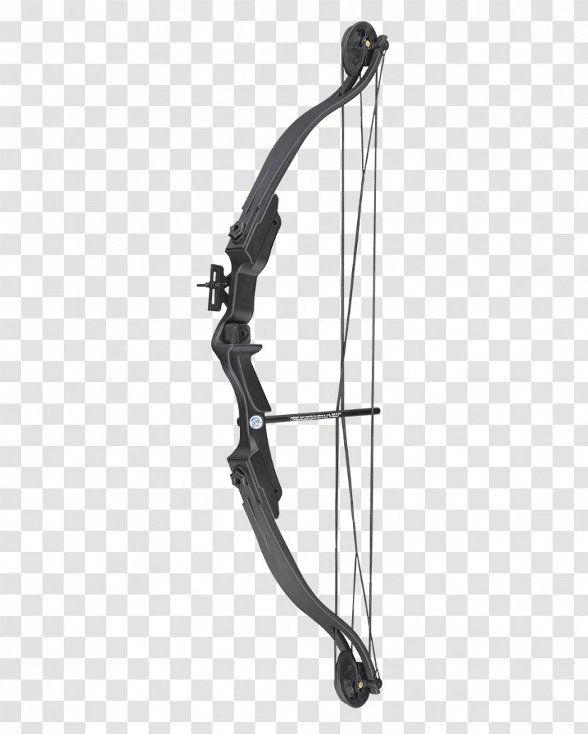 Compound Bows Archery Bow And Arrow Transparent PNG