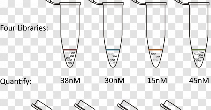 Paper /m/02csf Clothing Accessories Drawing - Tree - Dna Core Transparent PNG