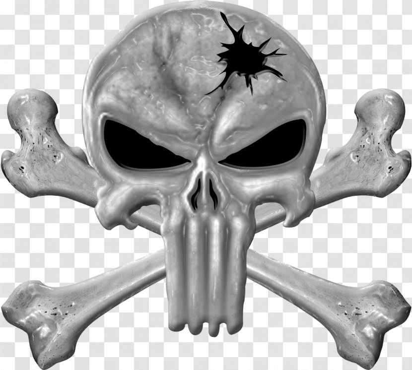 Bone Skull Jaw Skeleton Transparent PNG