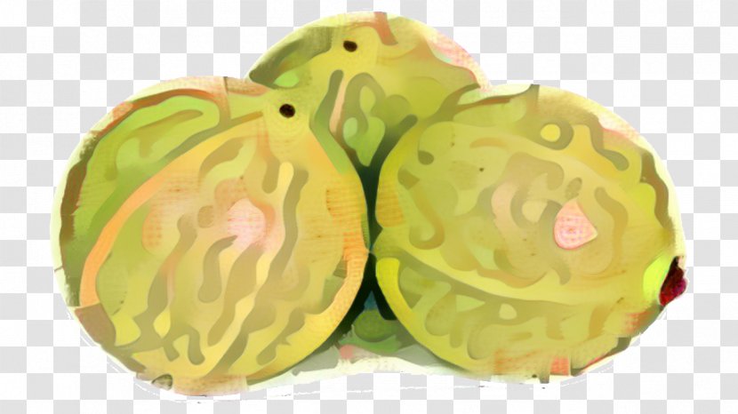 Vegetable Cartoon - Fruit - Wild Cabbage Transparent PNG