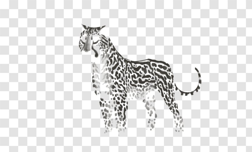 Leopard Whiskers Tiger Cat Felidae - Small To Medium Sized Cats Transparent PNG