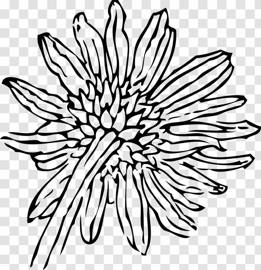 Drawing Line Art Clip - White - Floral Design Transparent PNG