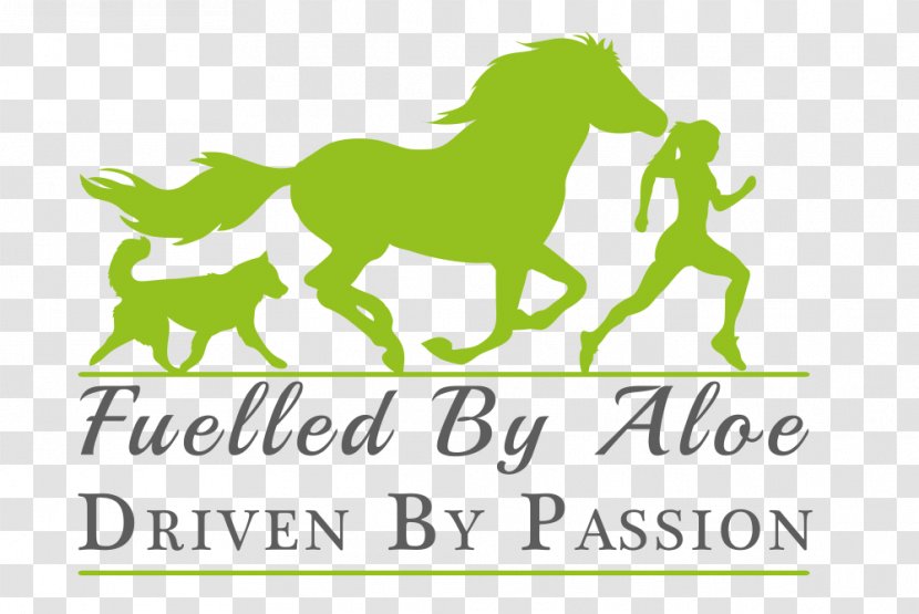 Pony Mustang Paper Excellent Stickers - Frame Transparent PNG