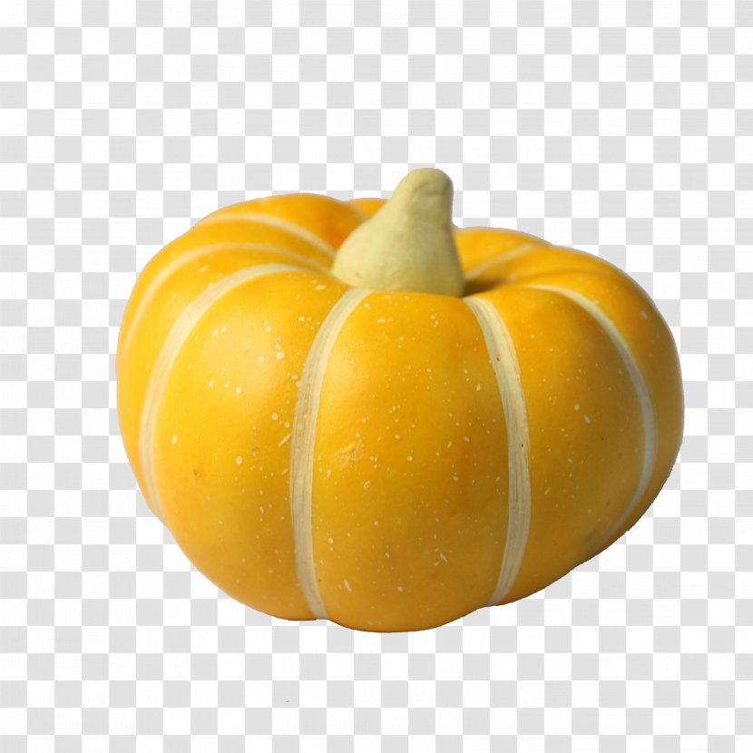 Pumpkin Calabaza Gourd Winter Squash Transparent PNG