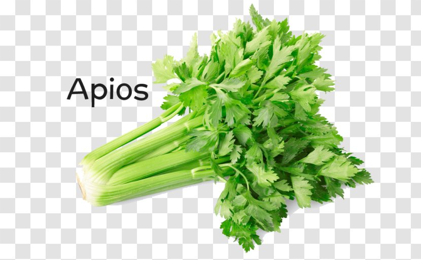 Celery Vegetable Stock Photography Health - Scallion Transparent PNG