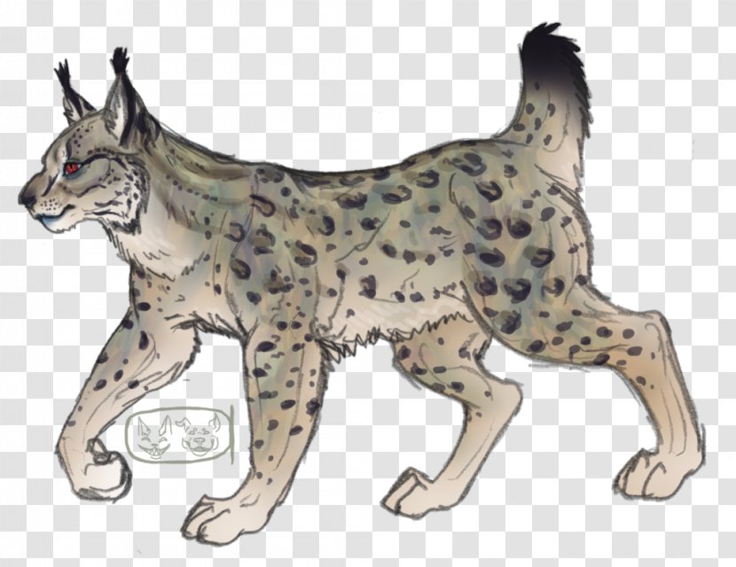 Whiskers Cheetah Wildcat Lynx - Cat - Eurasian Transparent PNG