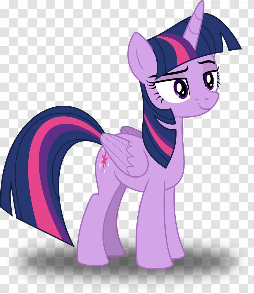 Twilight Sparkle Pinkie Pie Rarity Pony Rainbow Dash - Smug Transparent PNG