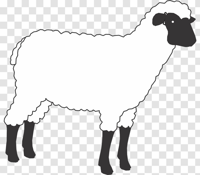 Sheep Cattle Horse Goat Mammal - Ds Transparent PNG