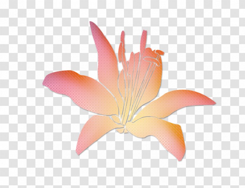 Flower Blume Public Domain Pink Transparent PNG