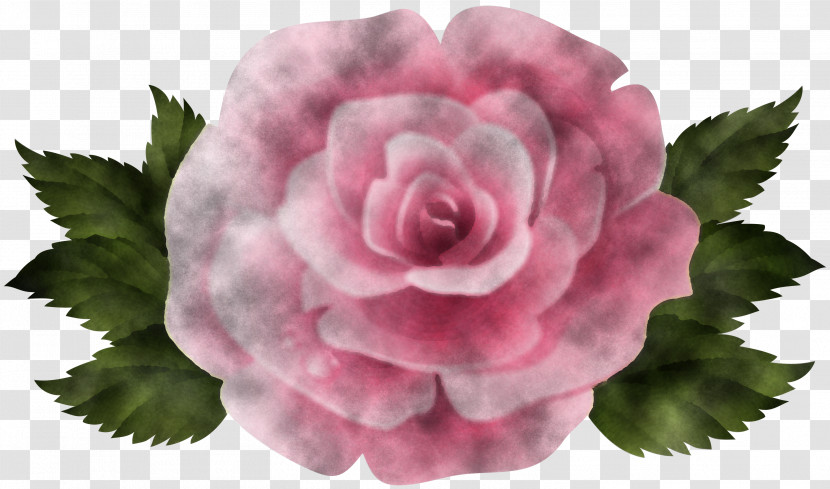 Garden Roses Transparent PNG