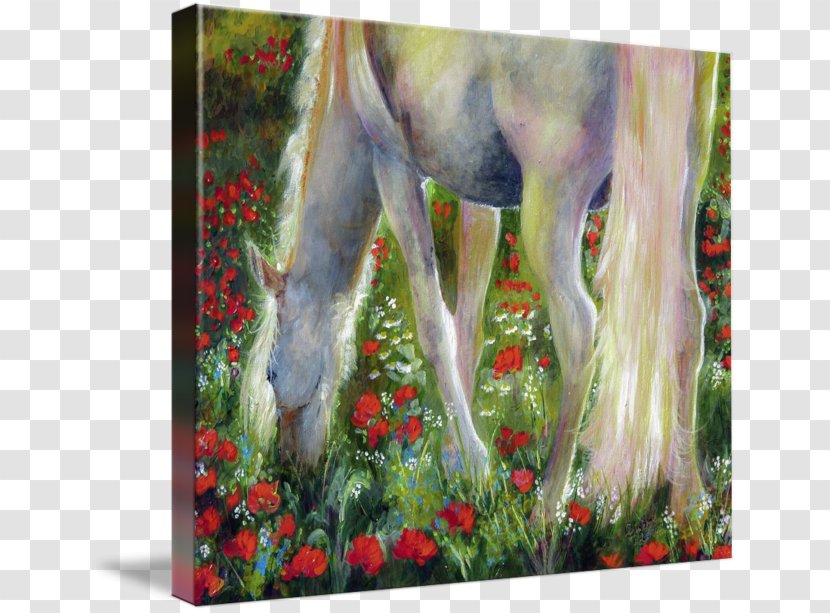 Watercolor Painting Gallery Wrap Acrylic Paint - Poppy Field Transparent PNG