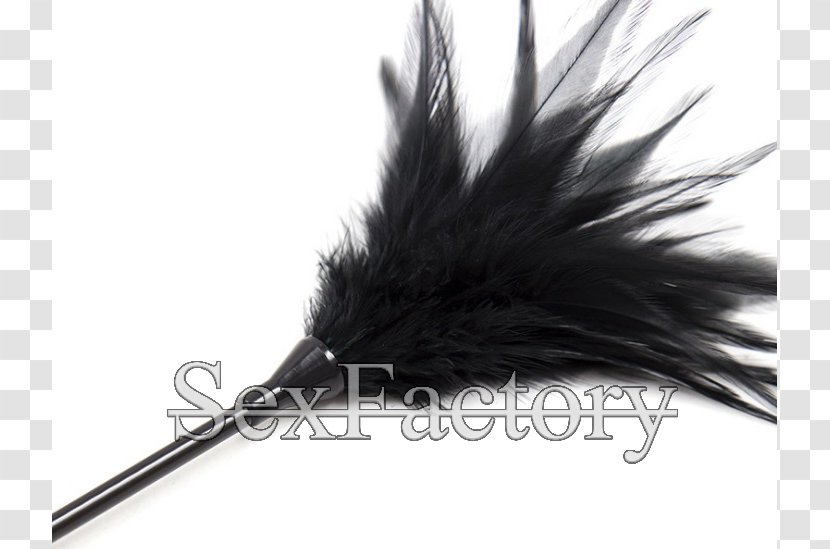 Feather White Black M Transparent PNG