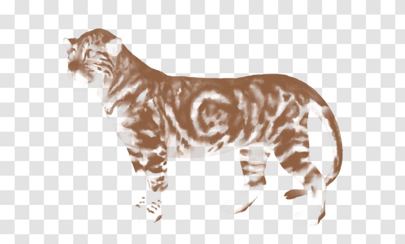 Whiskers Tiger Wildcat Felidae - Terrestrial Animal Transparent PNG
