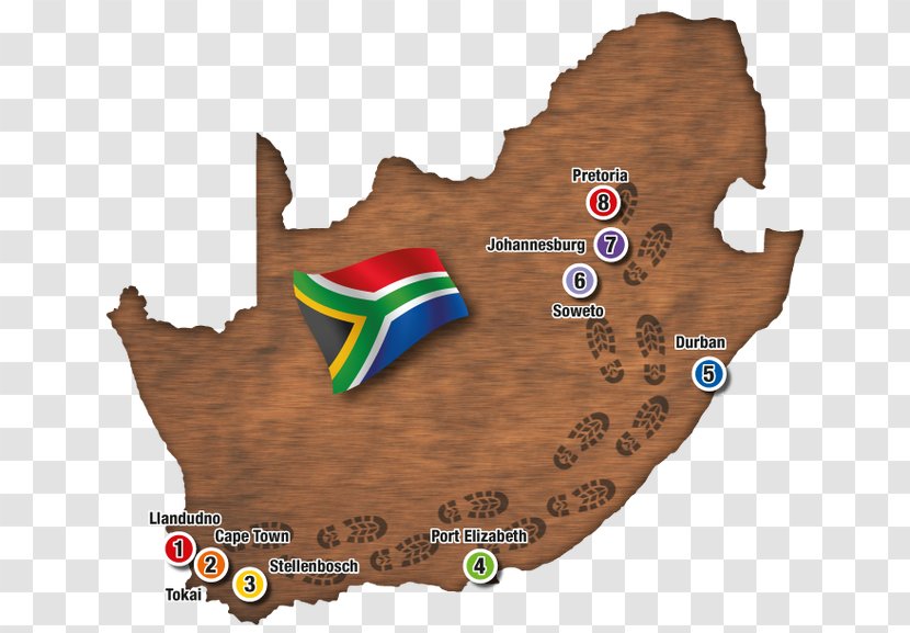 South Africa Vector Graphics Royalty-free Illustration Stock Photography - Royaltyfree - Social Network Map Transparent PNG