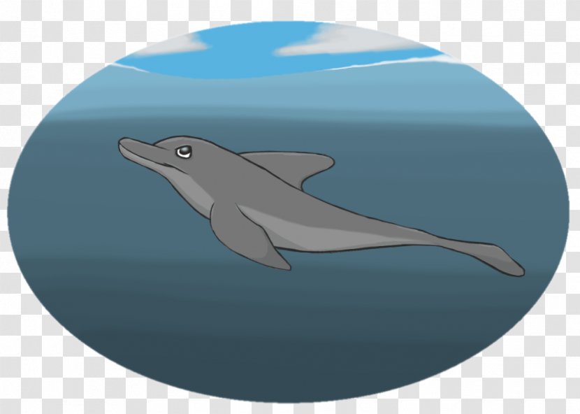 Common Bottlenose Dolphin Short-beaked Wholphin Tucuxi - Marine Mammal Transparent PNG