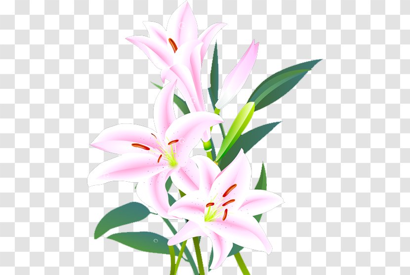 Lilium Floral Design Cut Flowers Leaf - Petal - Lily Transparent PNG