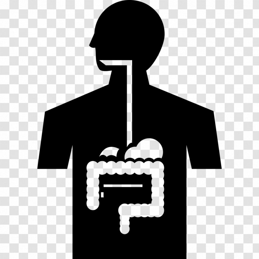 Digestion Gastrointestinal Tract Human Digestive System Health - Flower - Cartoon Transparent PNG