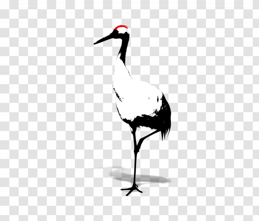 Red-crowned Crane Bird White - Information Transparent PNG