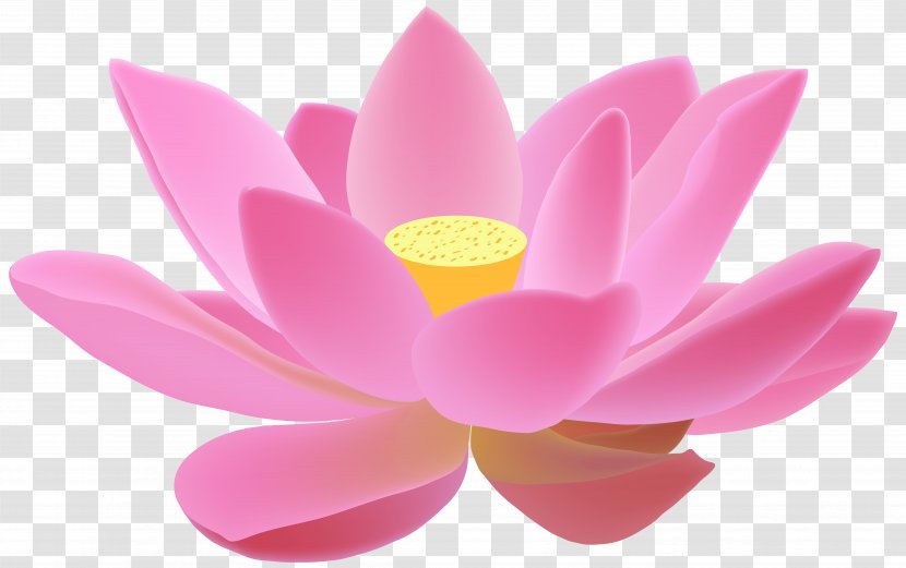 Diya Diwali Candle Clip Art - Lotus Family - Realistic Spring Flowers Background Transparent PNG