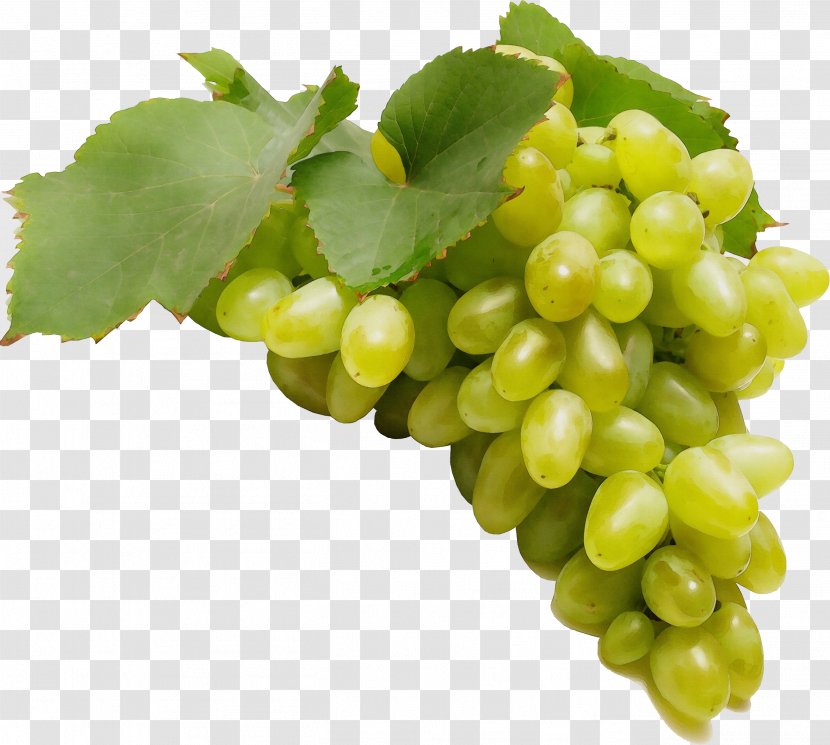 Grape Flowering Plant Seedless Fruit Grapevine Family - Food Flower Transparent PNG