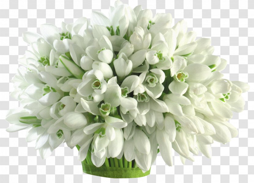Flower Bouquet Snowdrop Petal Wallpaper - White - Of Material Transparent PNG