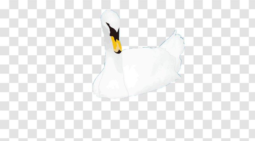 Duck Goose Flightless Bird - Vertebrate - Swan Transparent PNG