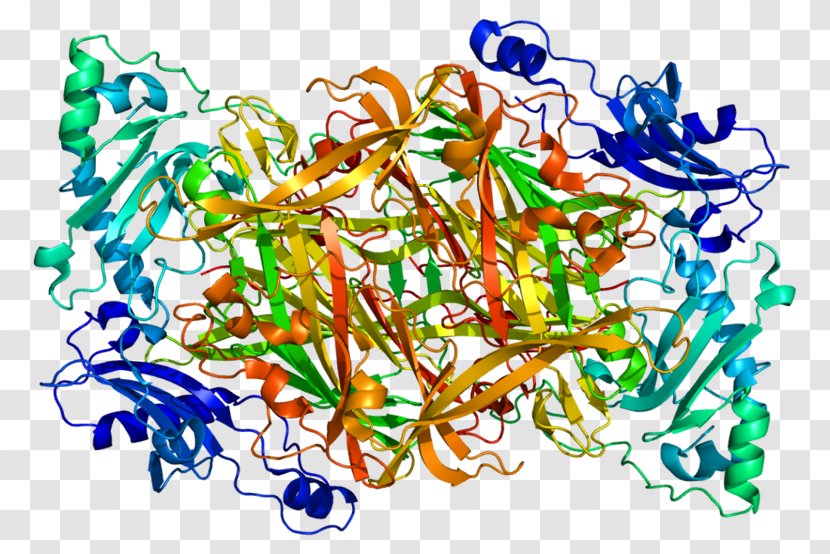 AOC3 Amine Oxidase (copper-containing) DNA Polymerase Gene - Frame - Silhouette Transparent PNG
