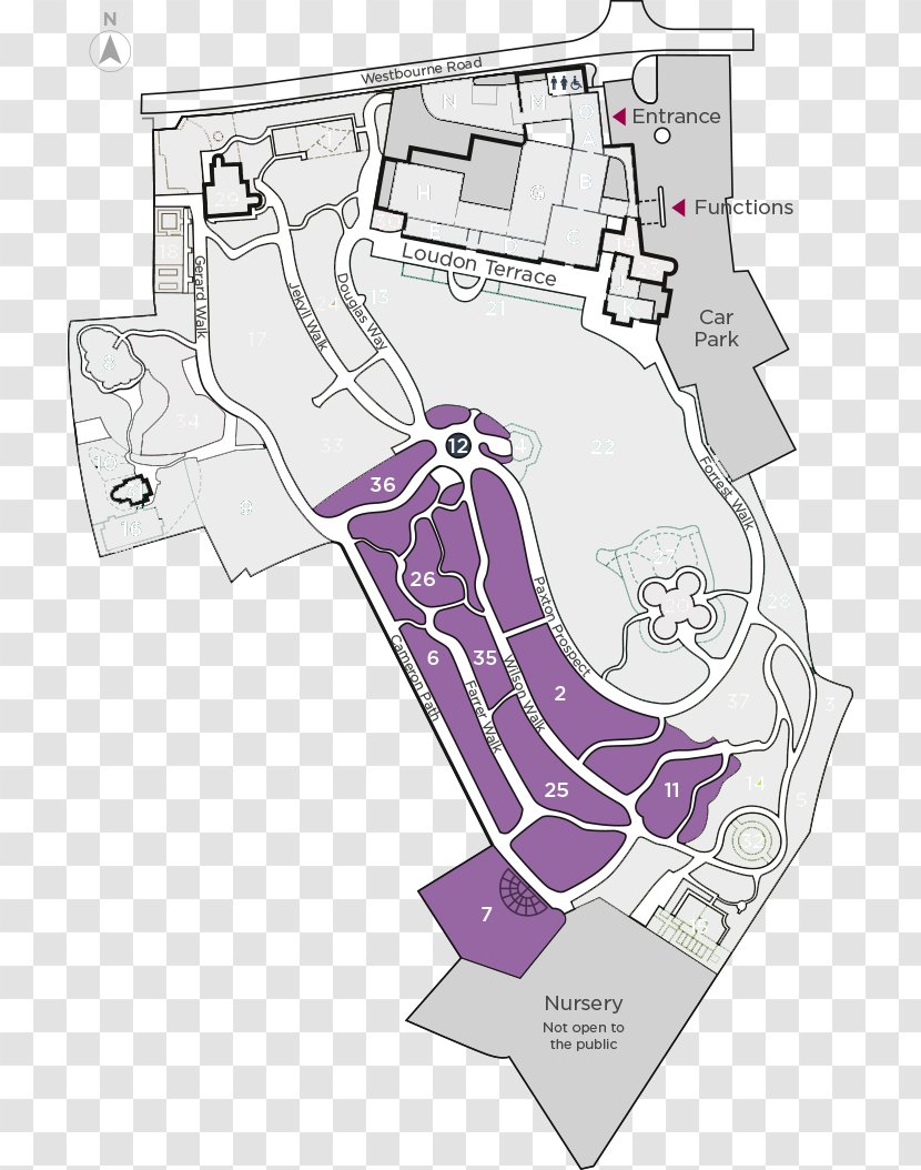 Drawing Botanical Garden - Diagram Transparent PNG