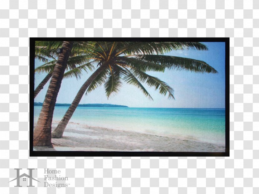 Mat Arecaceae Shore Beach Picture Frames - Floor Transparent PNG