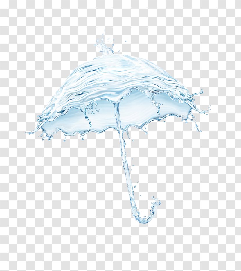 Umbrella Rain Drop - Google Images - Umbrellas Ornament Transparent PNG