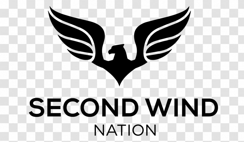 Bird Phoenix Eagle Symbol - Wing - The Wind Transparent PNG