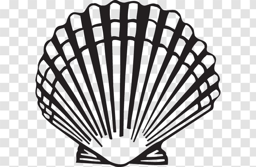 Scallop Clam Seashell Clip Art - Black And White Transparent PNG