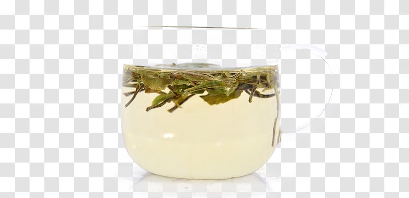 Yellow Glass - Biluochun Tea Cup Transparent PNG