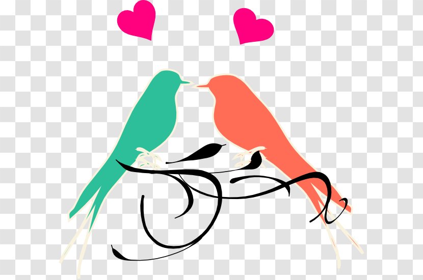 Lovebird Wedding Clip Art - Frame - Bird Transparent PNG