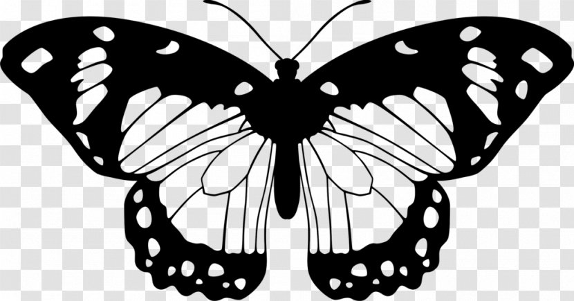 Butterfly Black And White Clip Art - Brush Footed Transparent PNG