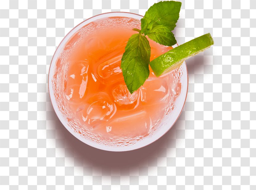 Cocktail Kombucha Juice Kelp Tea Stock Photography - Vodka - Mimosa Drinks Transparent PNG