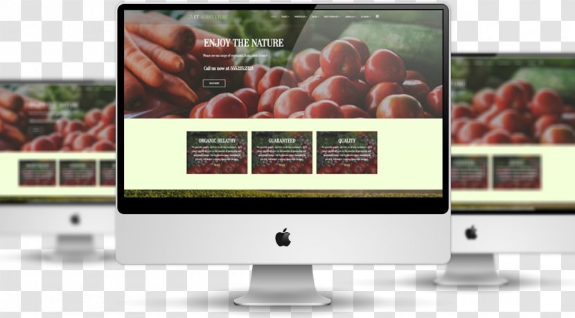 Responsive Web Design Template System - Website Mockup Free Transparent PNG