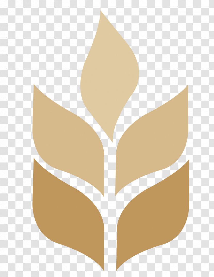 Calvary Chapel-The Chino Valley Hills Pastor Organization Logo - Tree Transparent PNG