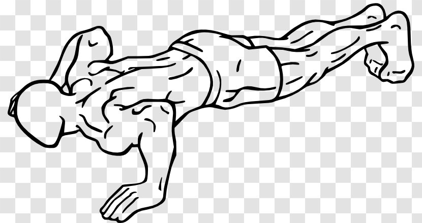 Bodyweight Exercise Push-up Fitness Centre Health - Tree - Plank Transparent PNG