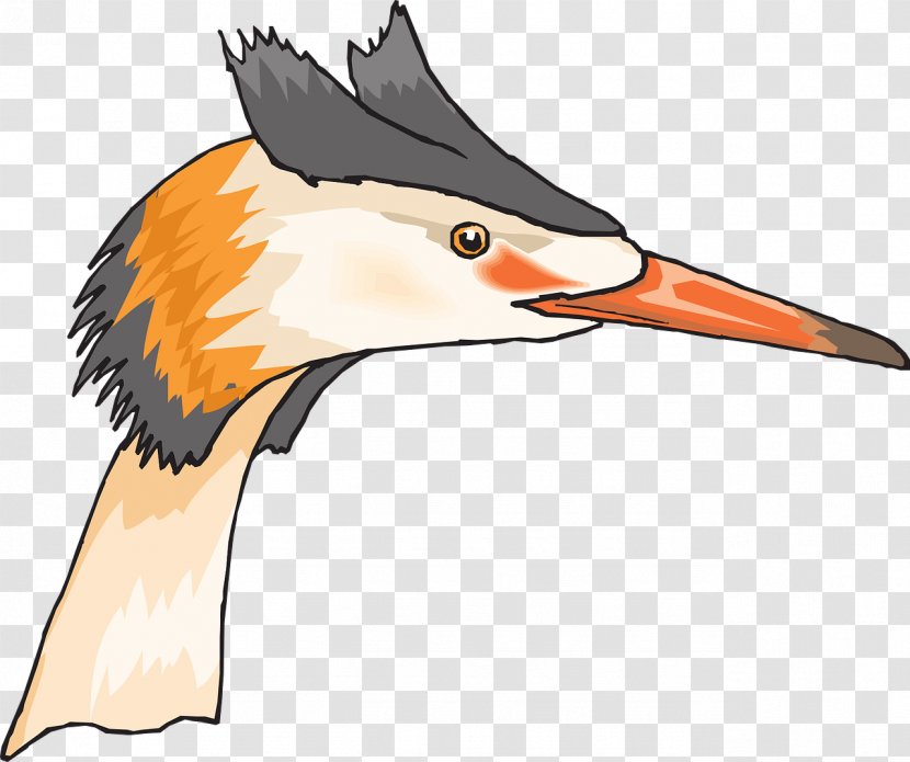 Beak Bird Heron Duck Clip Art - Little Grebe Transparent PNG