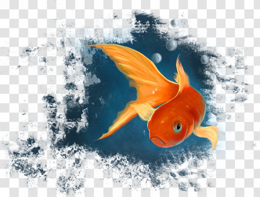 Goldfish Koi Desktop Wallpaper Marine Biology - Water - Computer Transparent PNG