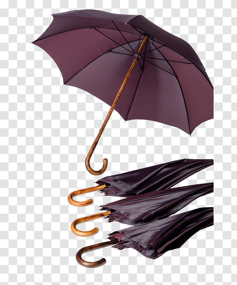 Umbrella - Purple Transparent PNG