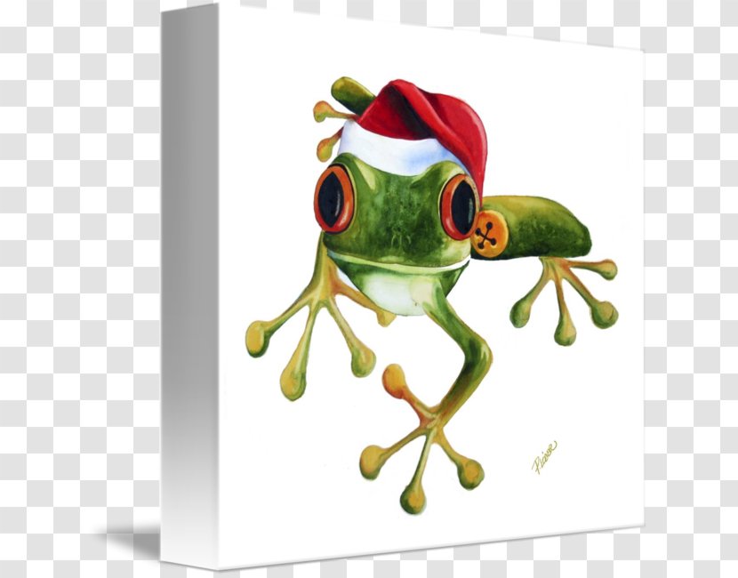 The Tree Frog True Christmas - Drawing Transparent PNG