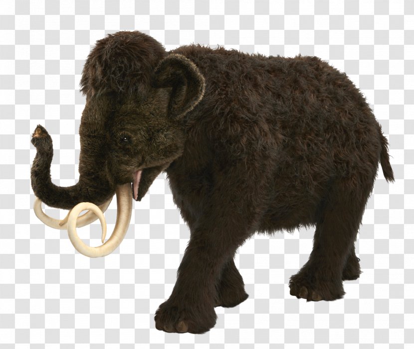 Domestic Yak Indian Elephant Wild African - Animal Figure - Mammoth Transparent PNG