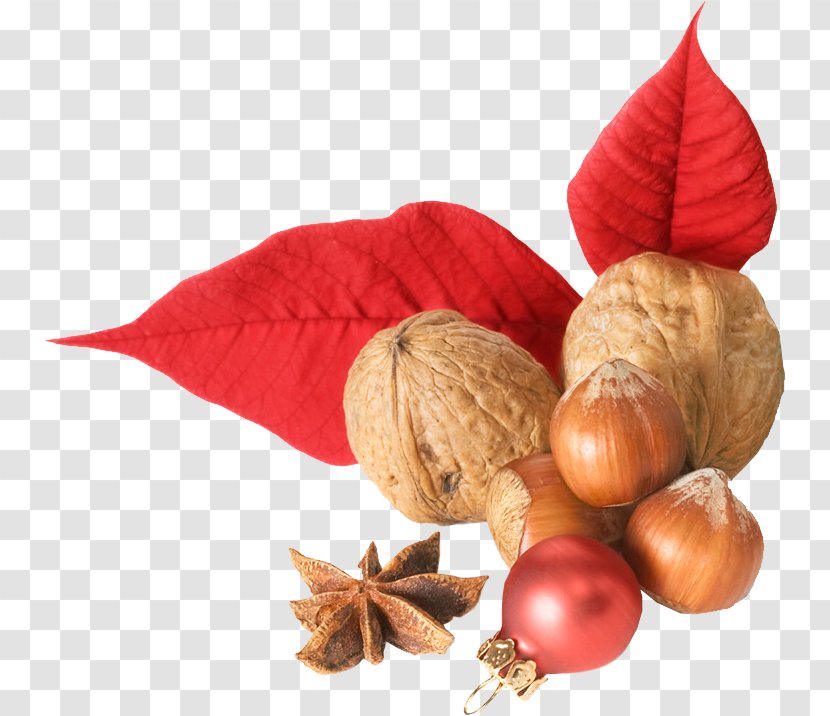 Hazelnut Clip Art - Digital Image - Christmas Transparent PNG