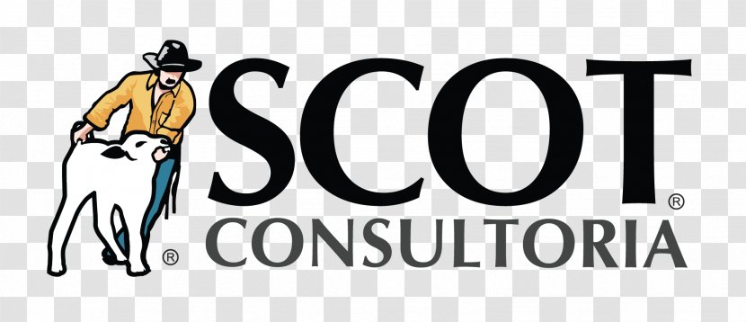 Scot Consultoria Consultant Cattle Agribusiness - Business Transparent PNG
