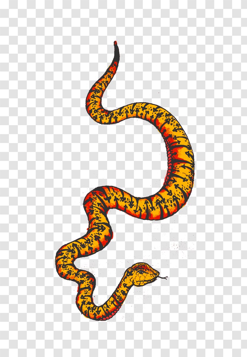 Rattlesnake Reptile Vipers Kingsnakes - Scaled - Anaconda Transparent PNG