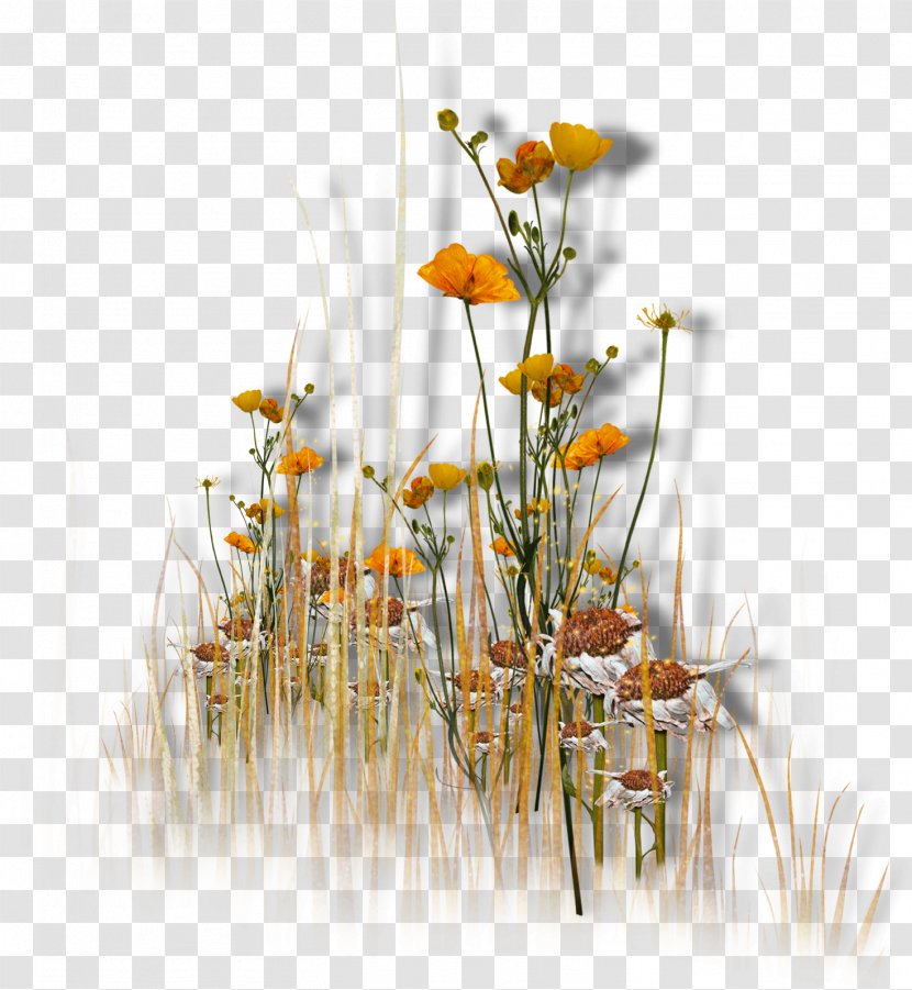 Flower Garden Floral Design - Wildflower - Vibrant Transparent PNG